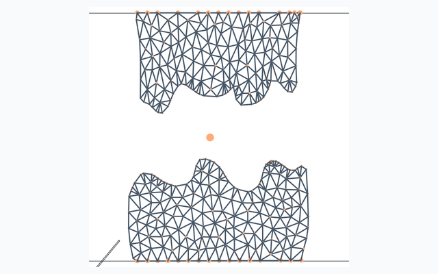 2D surgical simulation