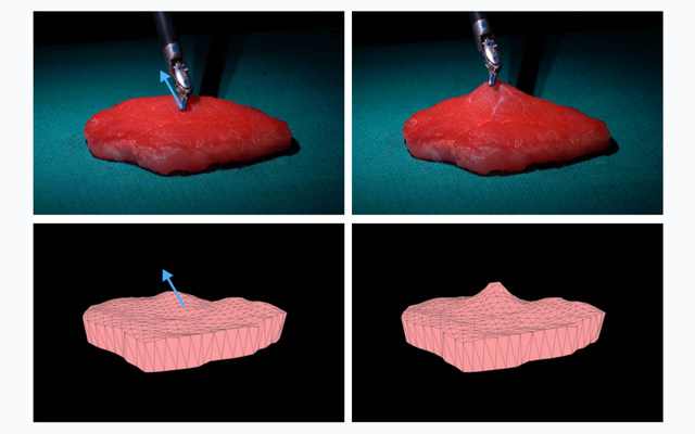 Real-to-sim registration of deformable tissue